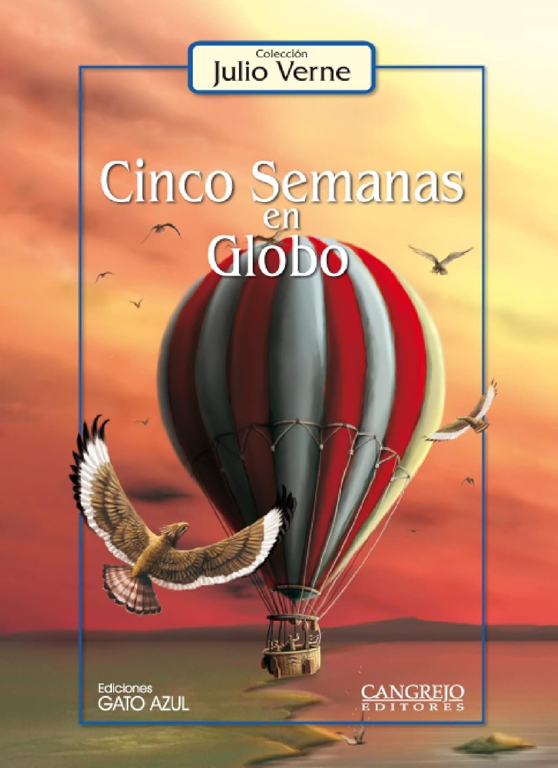 Libro Cinco semanas en globo