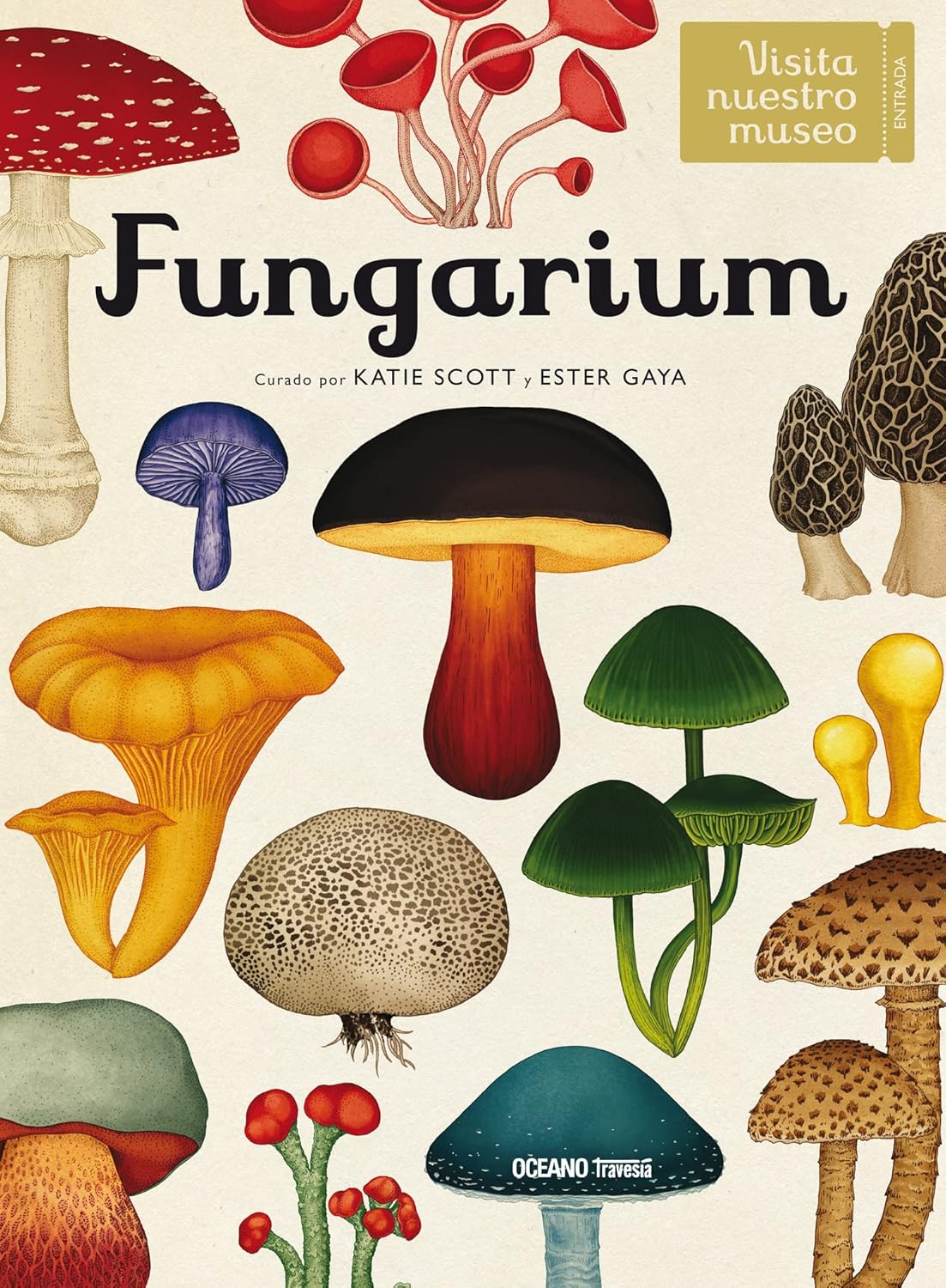 Libro Fungarium