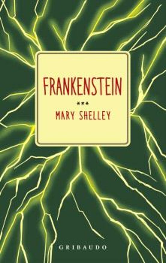 Libro Frankenstein