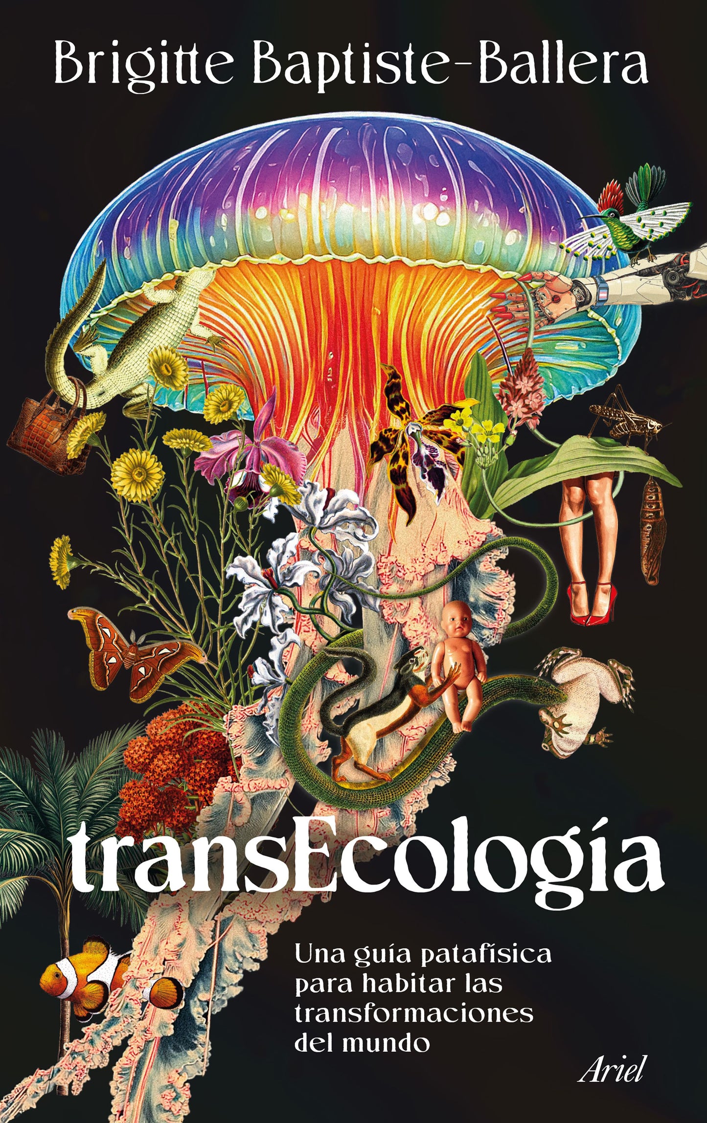 Libro Transecología