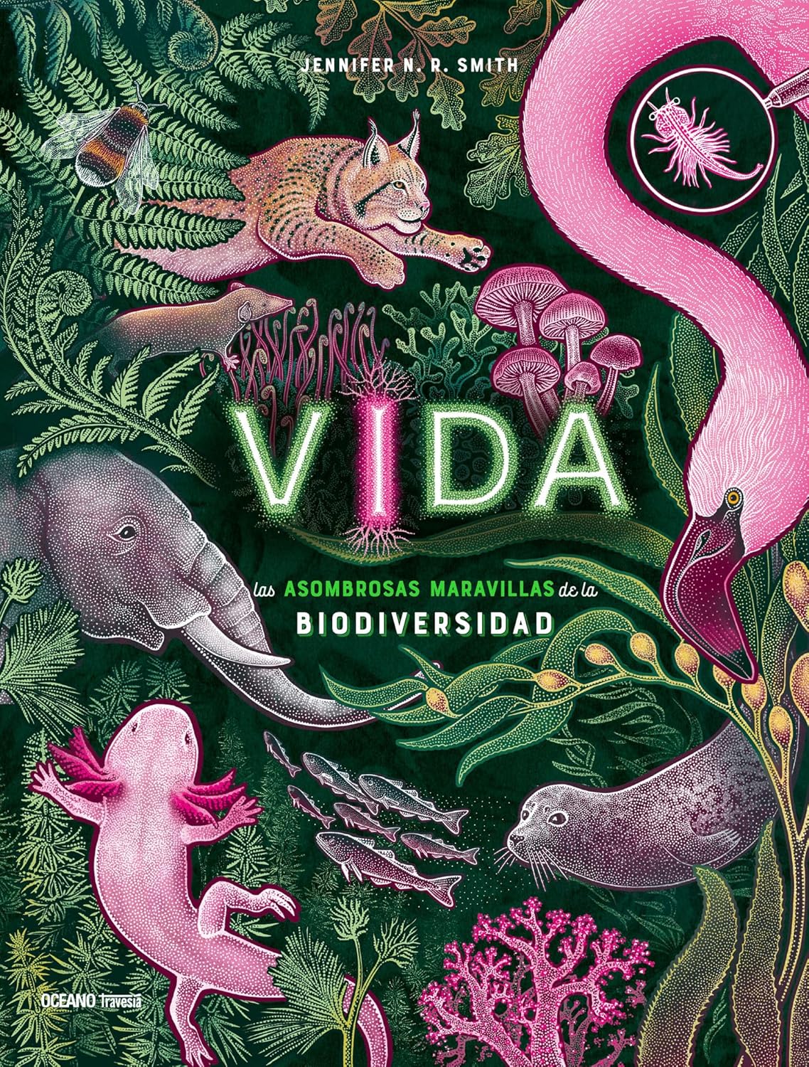 Libro Vida