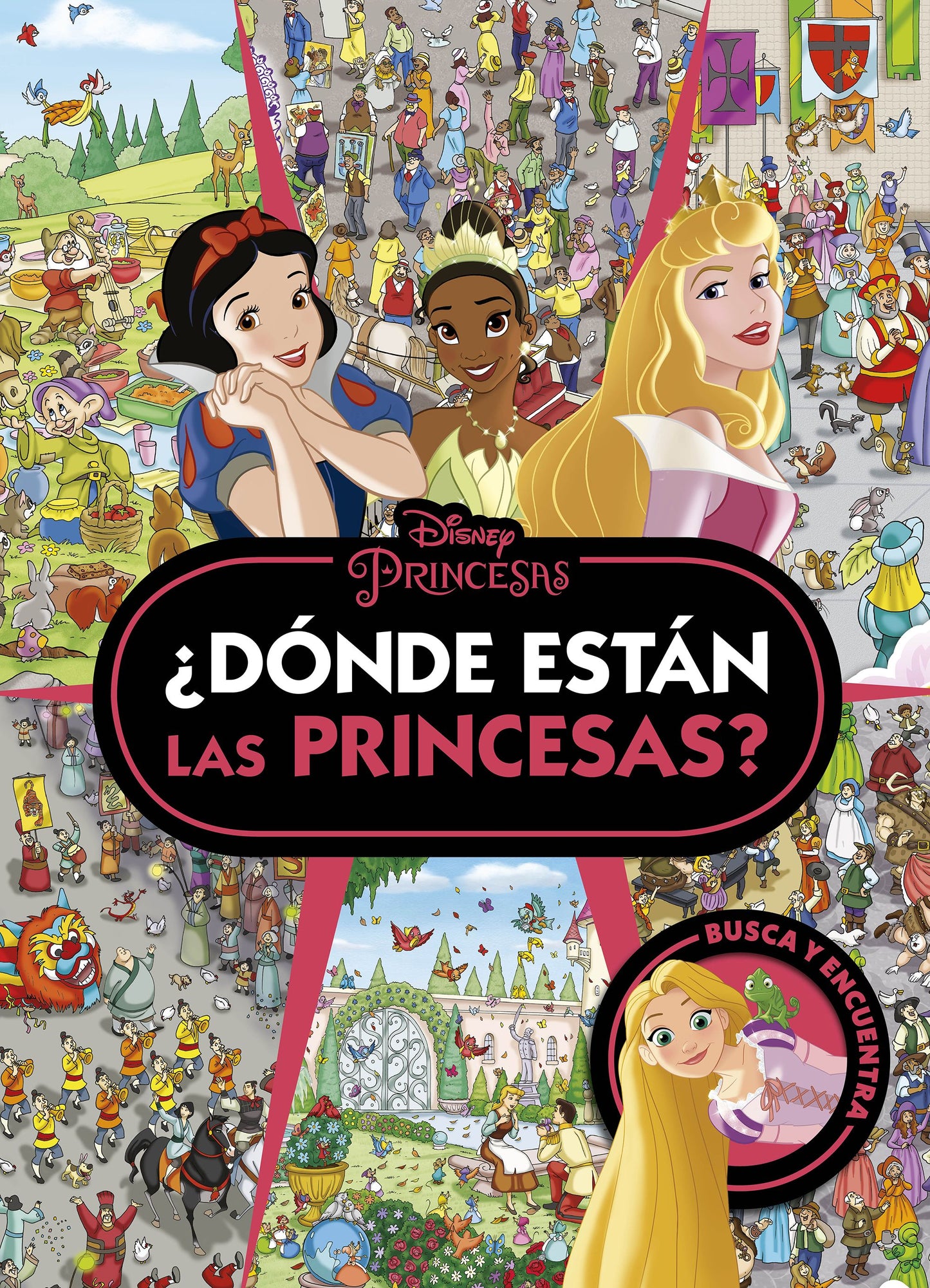 Libro Princesas: ¿Dónde están las princesas?