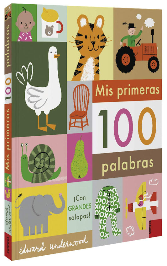 Libro Mis primeras 100 palabras