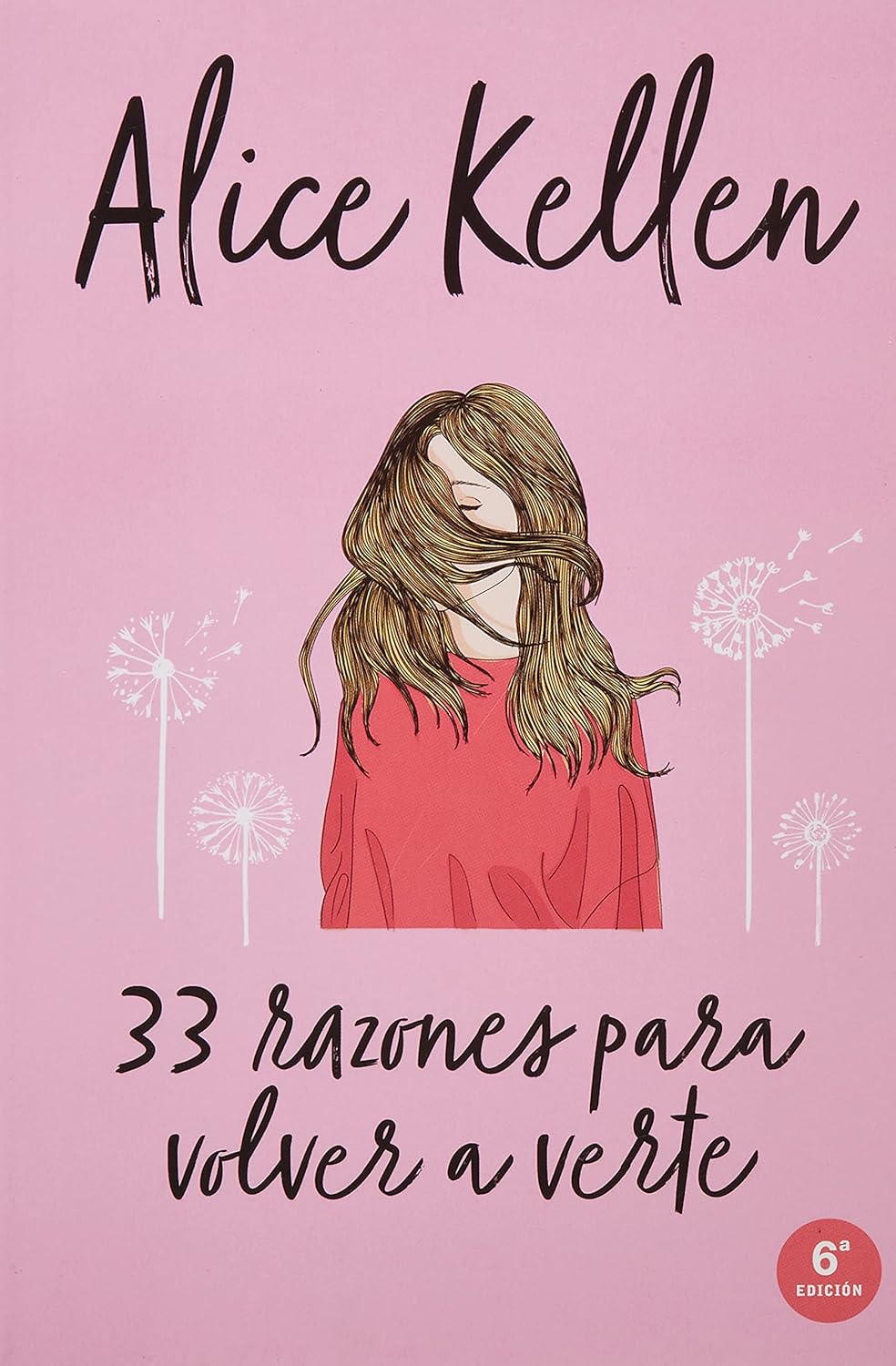 Libro 33 razones para volver a verte