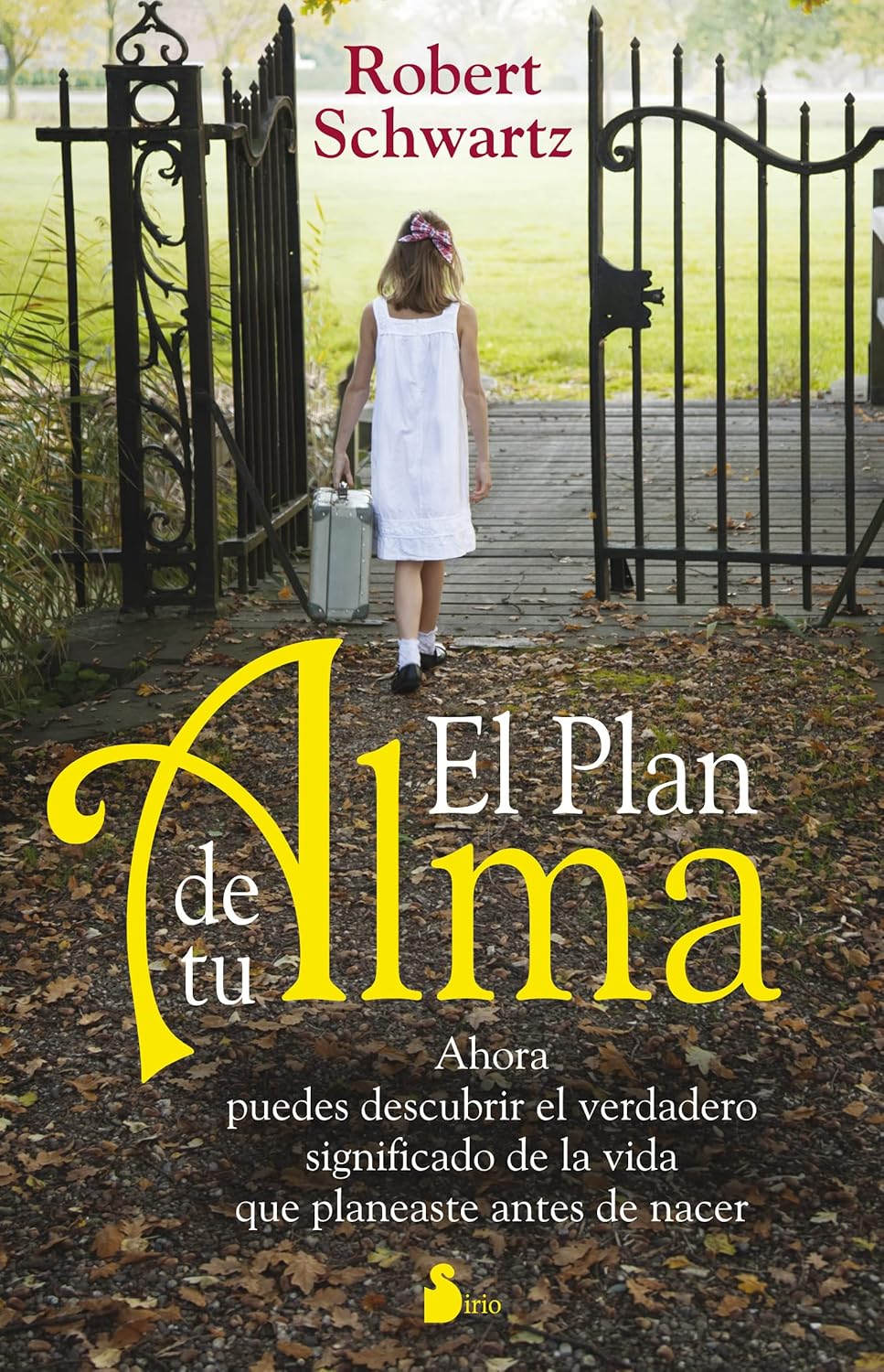 Libro El plan de tu alma