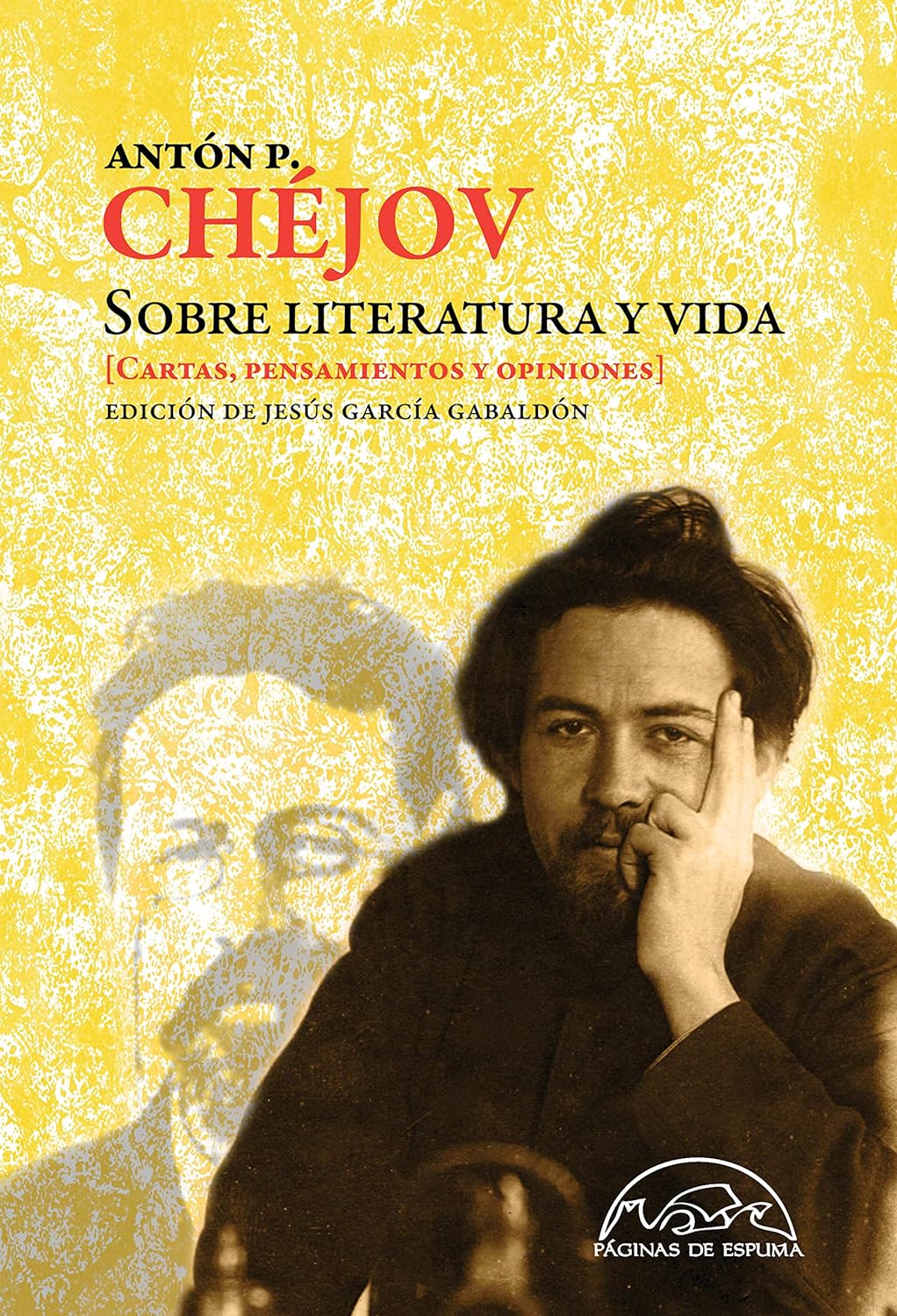 Libro Sobre literatura y vida: Cartas, pensamientos y opiniones