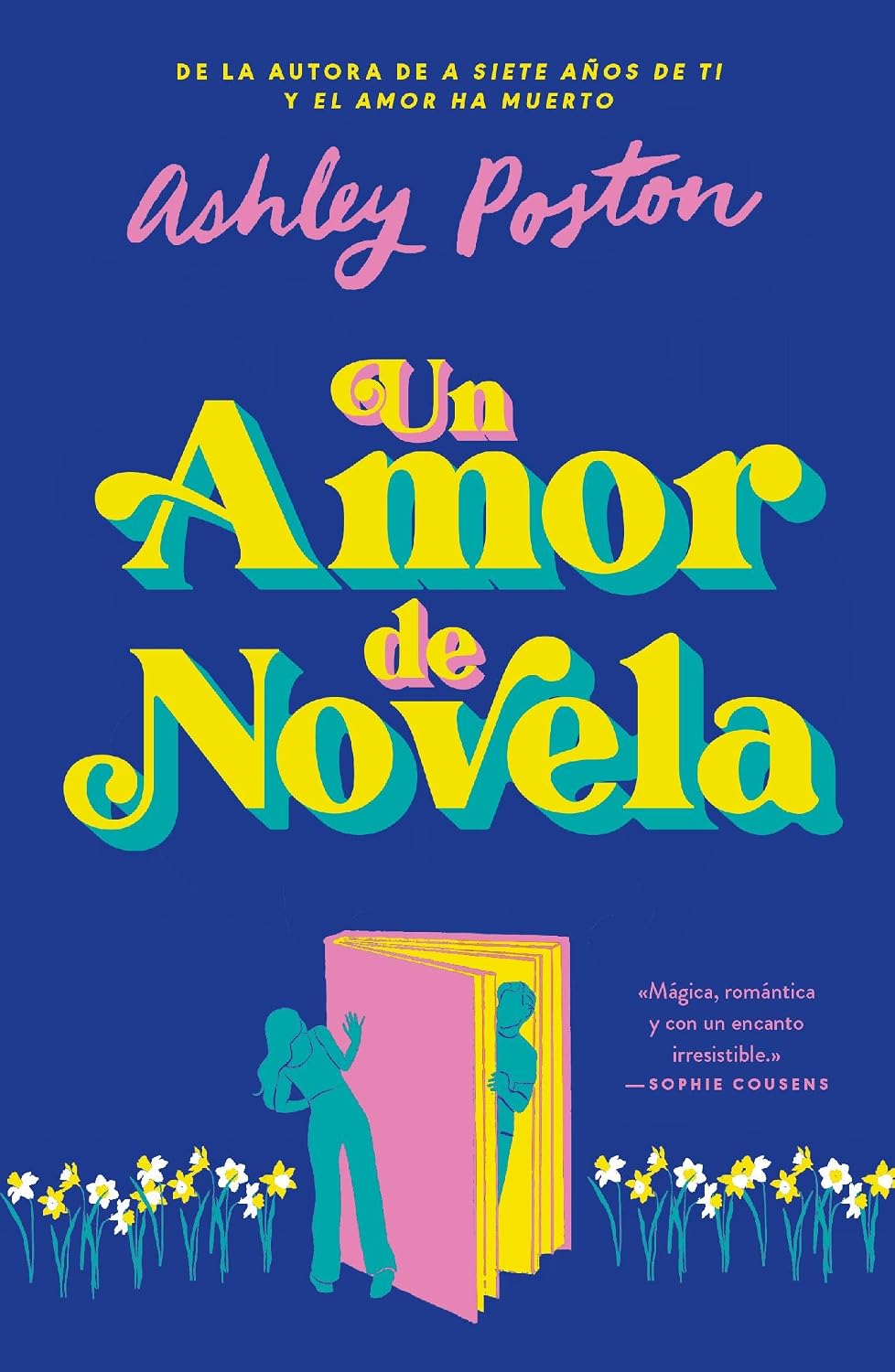 Libro Un amor de novela