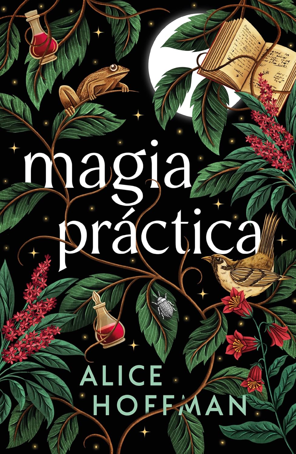 Libro Magia práctica
