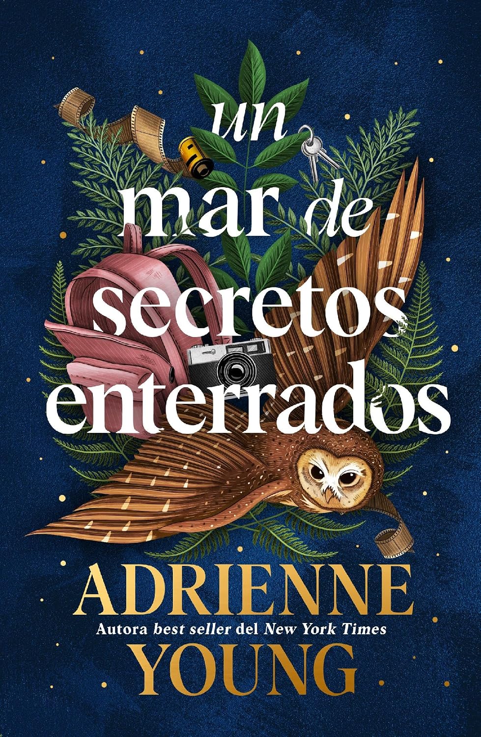 Libro Un mar de secretos enterrados