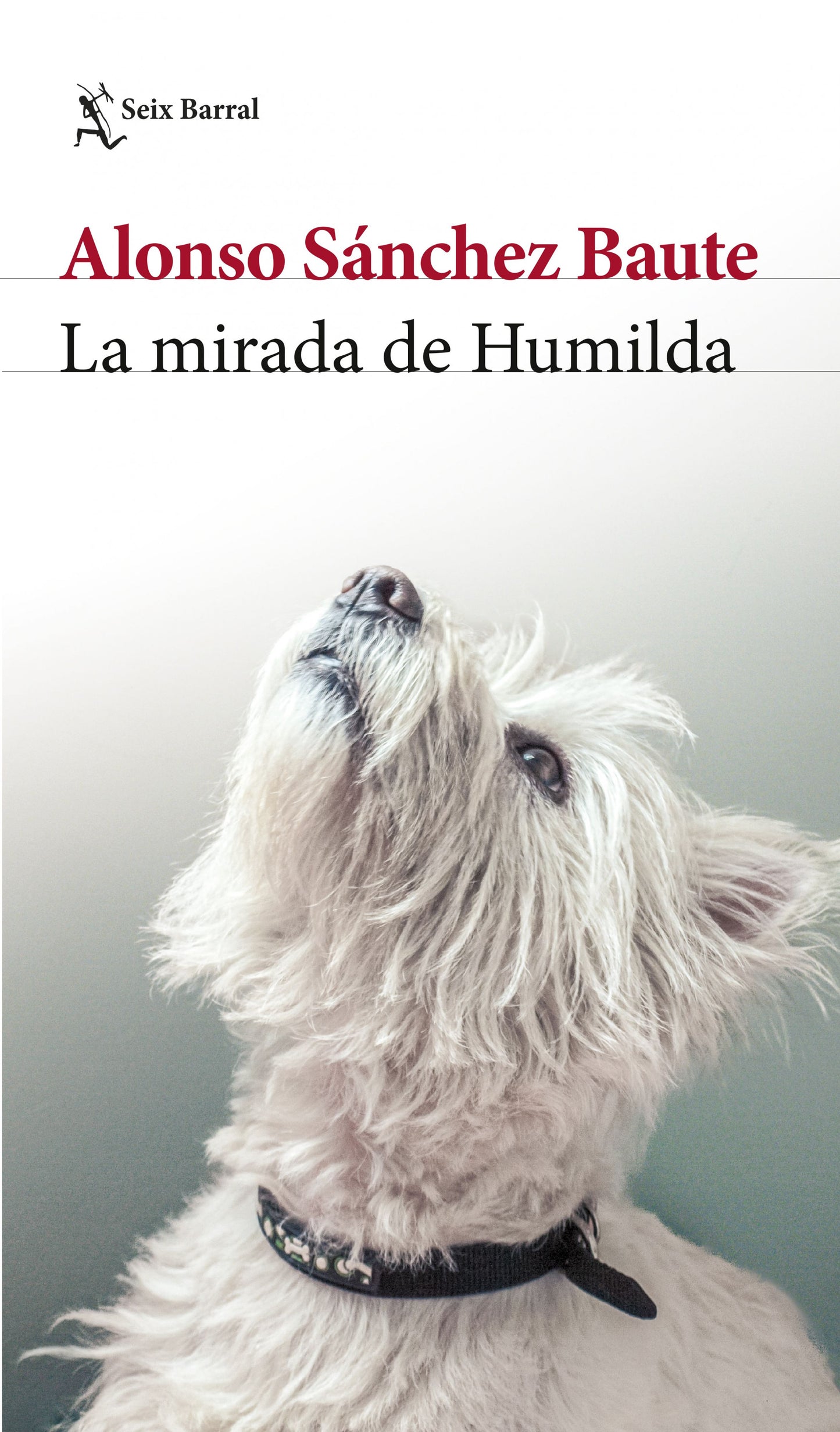 Libro La mirada de Humilda