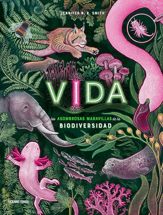 Libro Vida